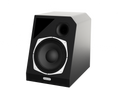 Radice 101A | MR Speaker