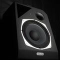 Cabinet speaker FRFR "Radice 101A"