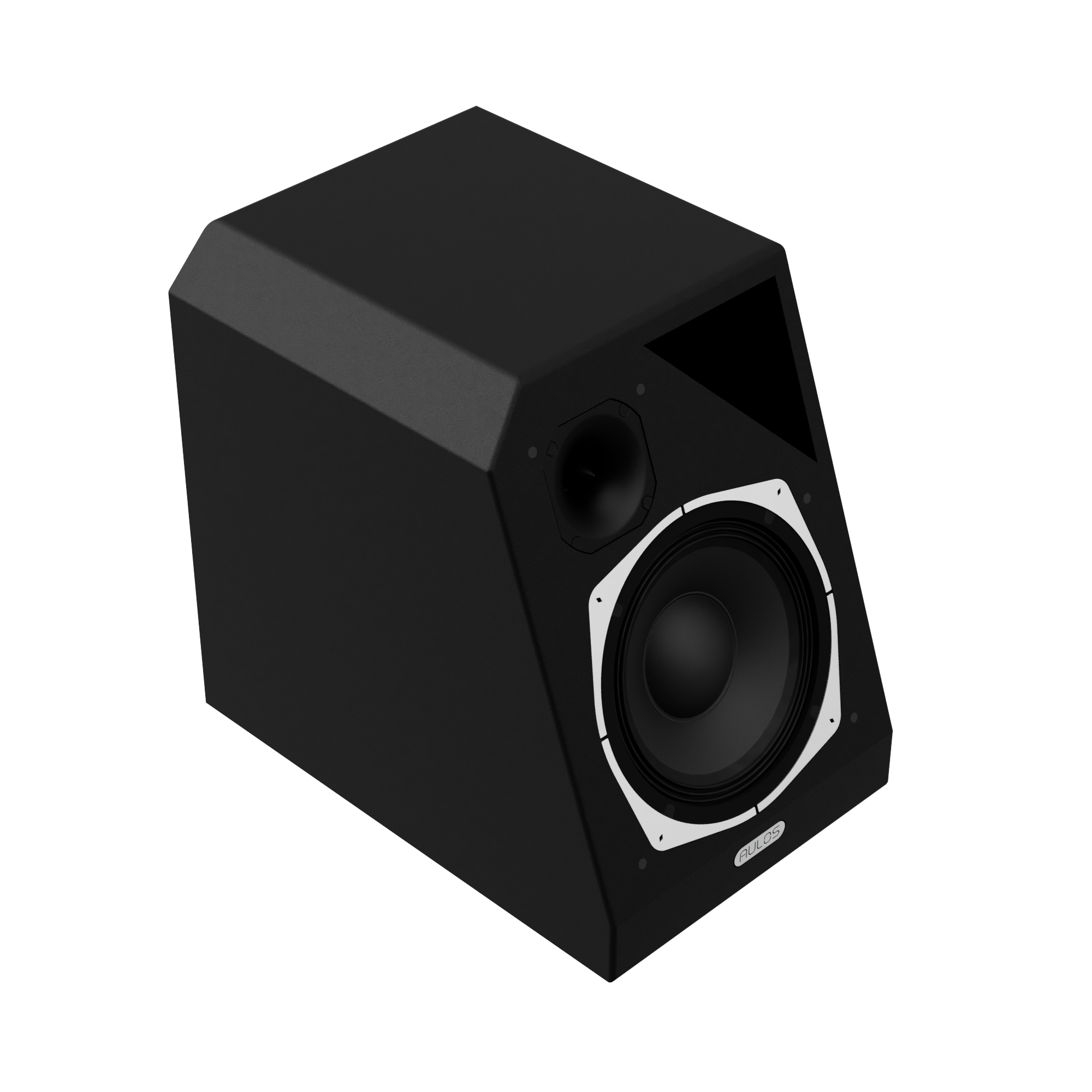 Radice 101P | MR Speaker