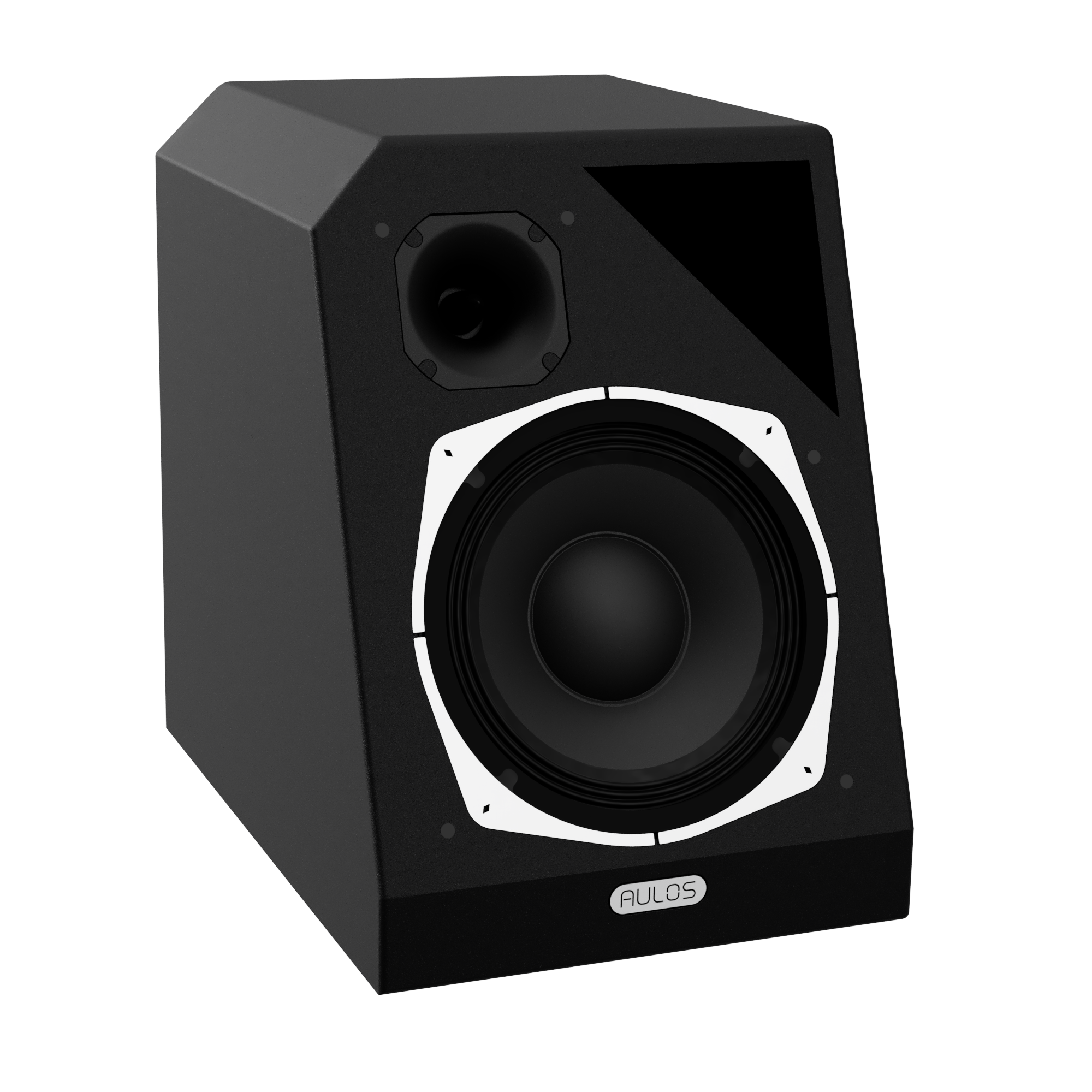 Radice 101P | MR Speaker